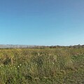 Loxahatchee wildlife refuge 1